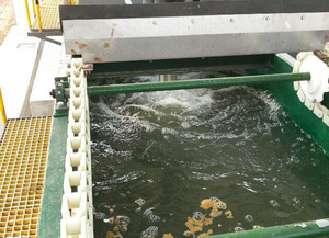 工业污水处理装置